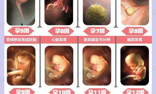 孕妇四个月小腹胀网 :分享怀孕四个月小肚子有点坠胀感是怎么回事-孕妇四个月小腹胀怎么回事知识